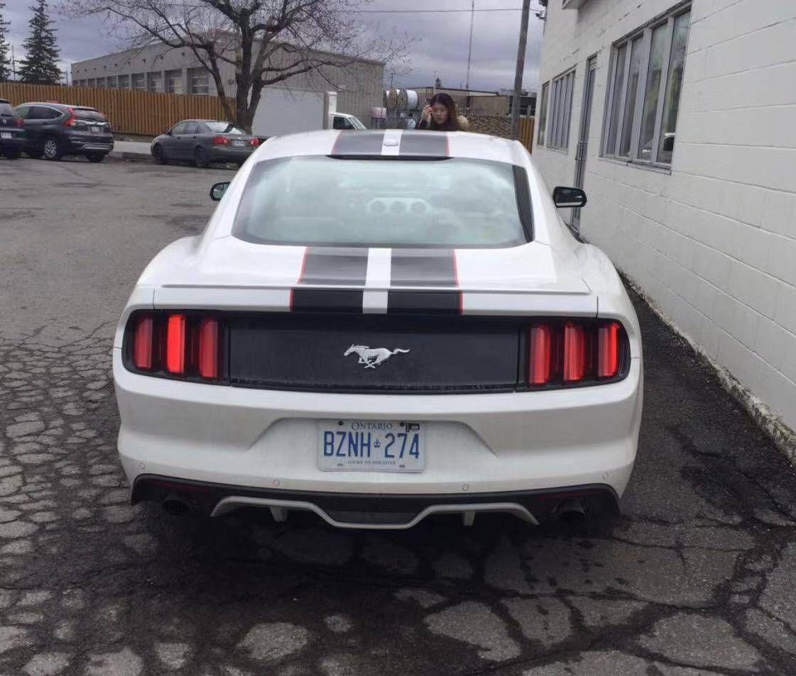 Ford Lease Takeover in Ottawa, ON 2017 Ford Mustang 2.3 Ecoboost